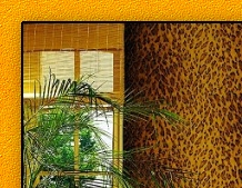 exotic jungle bedroom ideas exotic animal print bedroom ideas exotic wall ideas