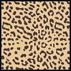 Leopard Print Wall and Floor Stencils to create fun Safari themed bedrooms