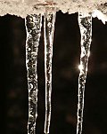 hang some of them from the ceiling - Glass Icicle Ornaments 