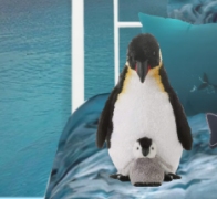 Plush penguin toys    arctic animals decor - winter bedrooms snow bedrooms arctic bedroom decor 