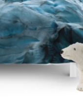 Blue Ice Glacier in Norway  ComforterS & Duvet Covers  Giant Polar Bear - Lifelike Stuffed 