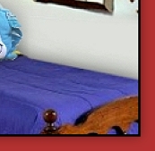 Solid color Comforter Set Dr Seuss bedding
