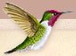 BIRDS Hummingbirds wall decal stickers garden bedrooms