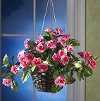 Brighten up any room of your house with a hanging basket of realistic fabric roses with a strand of 7 LED lights.