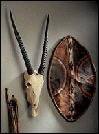 African savanna trophies hung on the richly paneled walls of British manors. Add nature�s artwork to your own walls with our trophy cast directly from a sun-bleached African animal skull. With majestic horns and natural beauty, cast in two-toned designer resin, this replica pays homage to this swift, sure-footed animal.